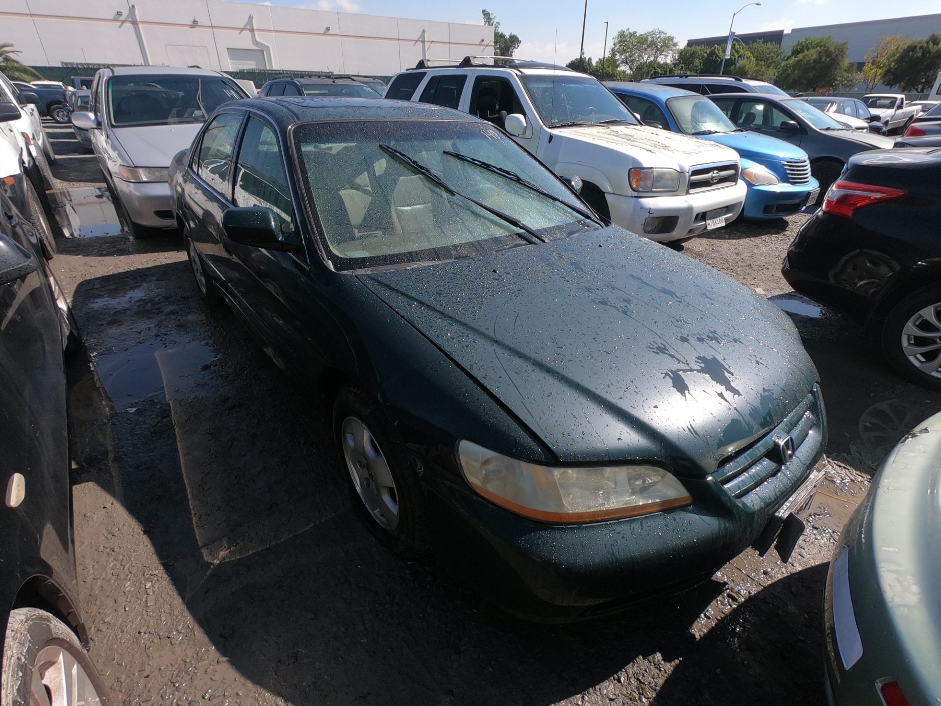 2001 HONDA ACCORD — photo 1