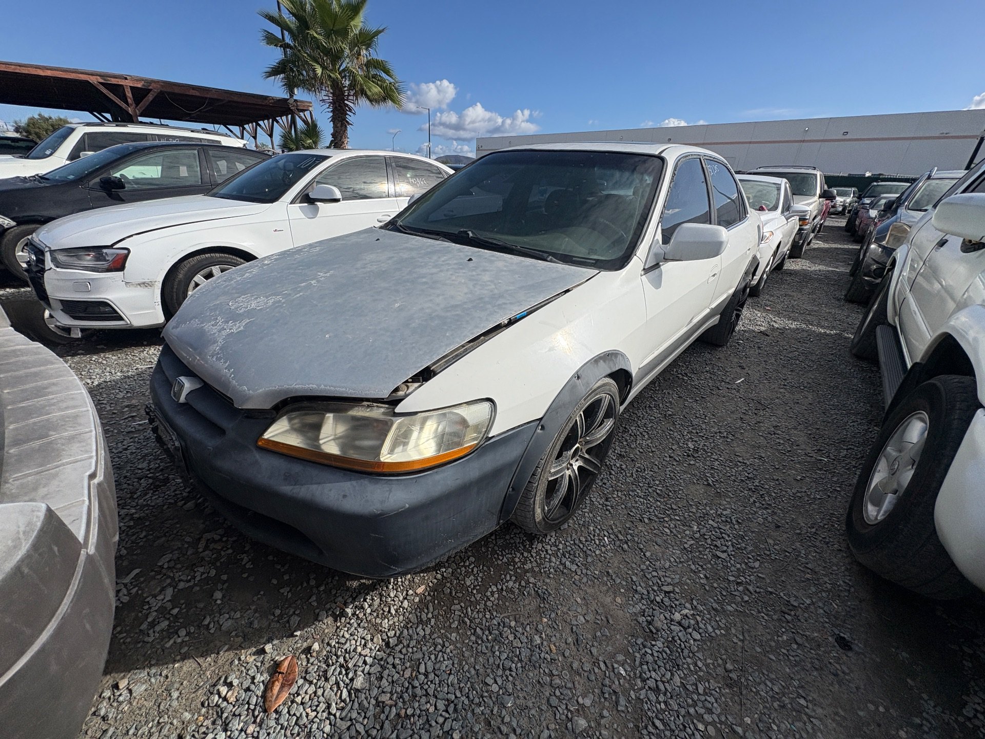 1999 HONDA ACCORD — thumbnail 2