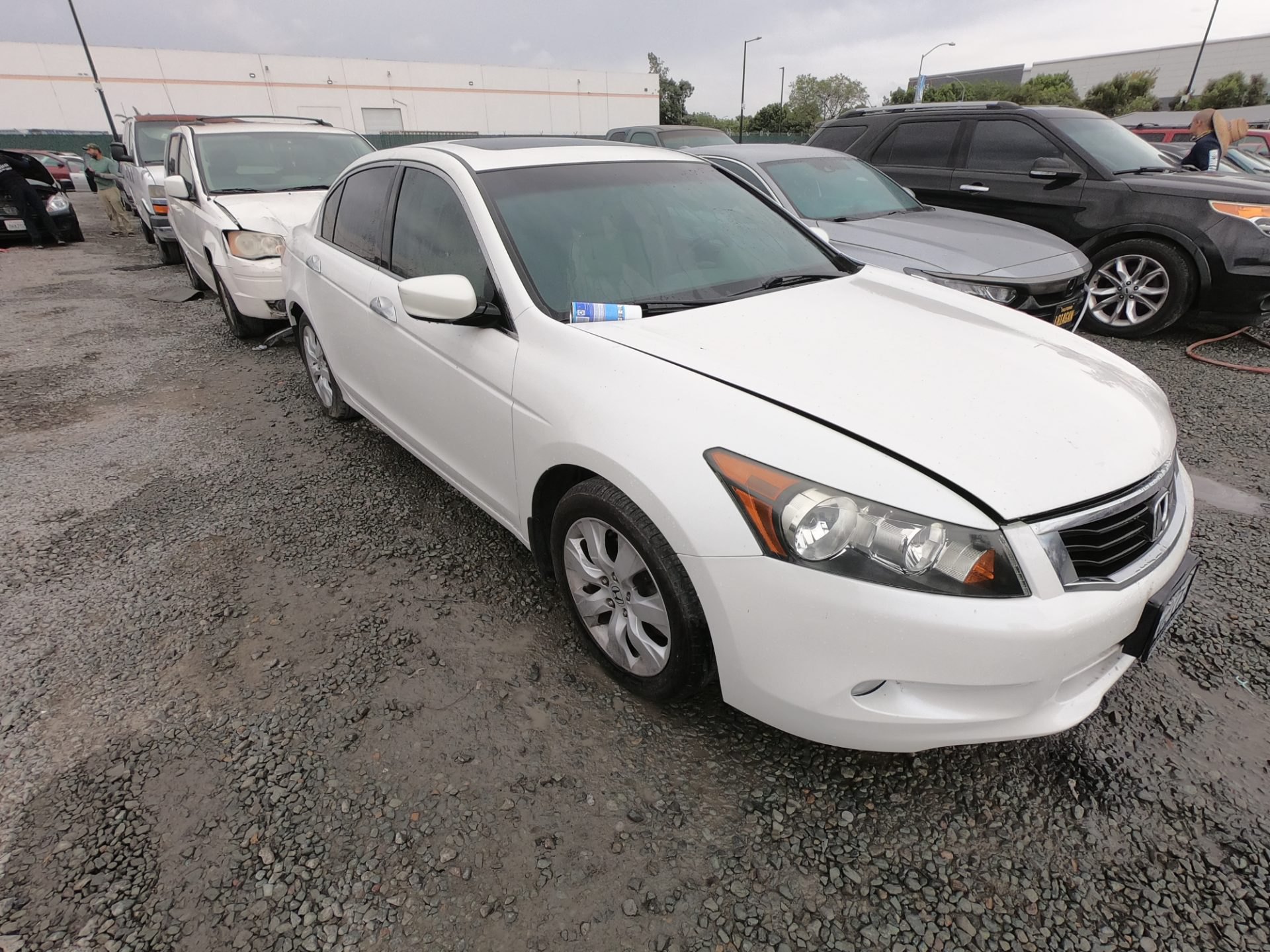 2010 HONDA ACCORD — photo 1