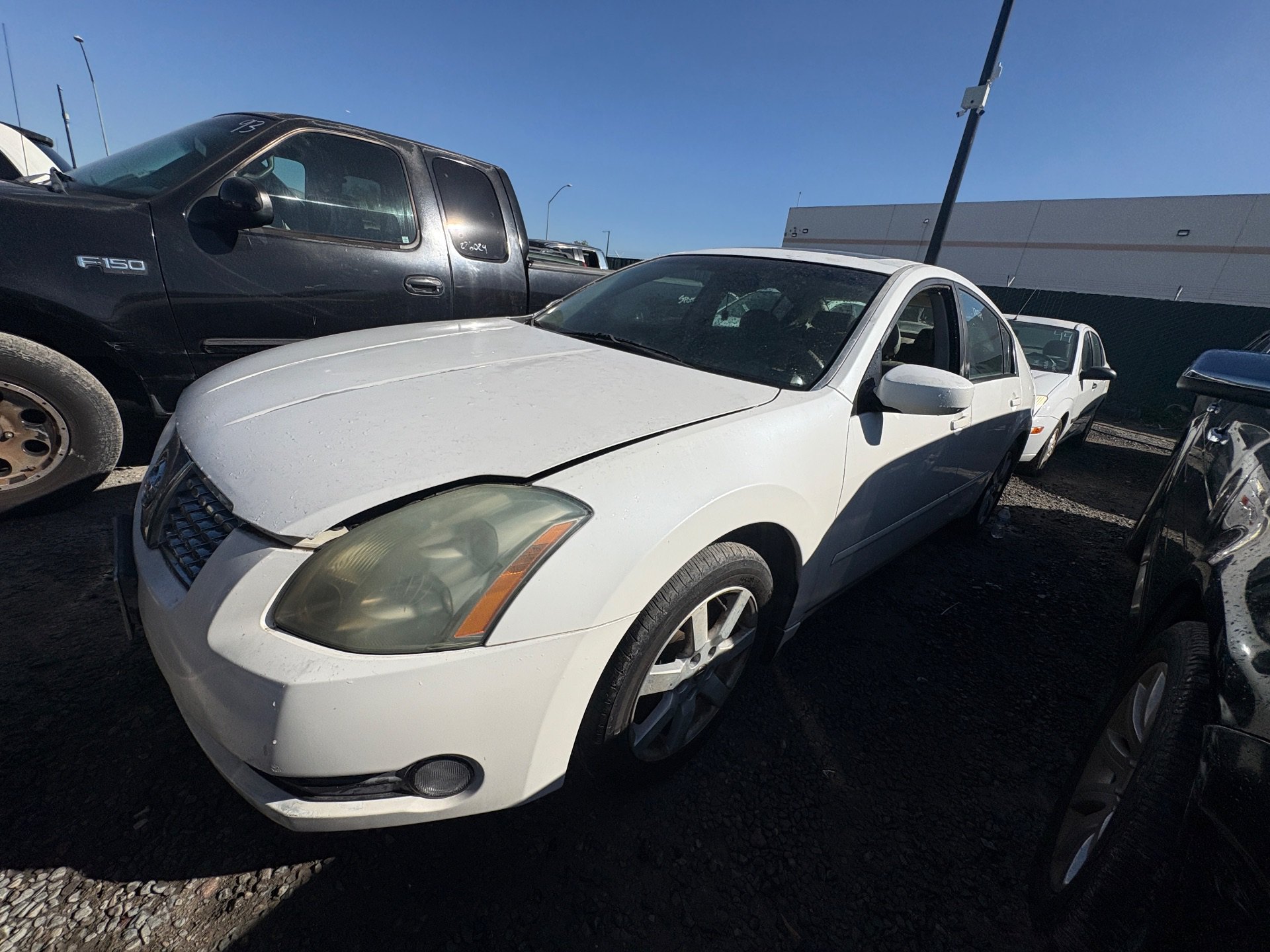 2005 NISSAN MAXIMA — photo 1