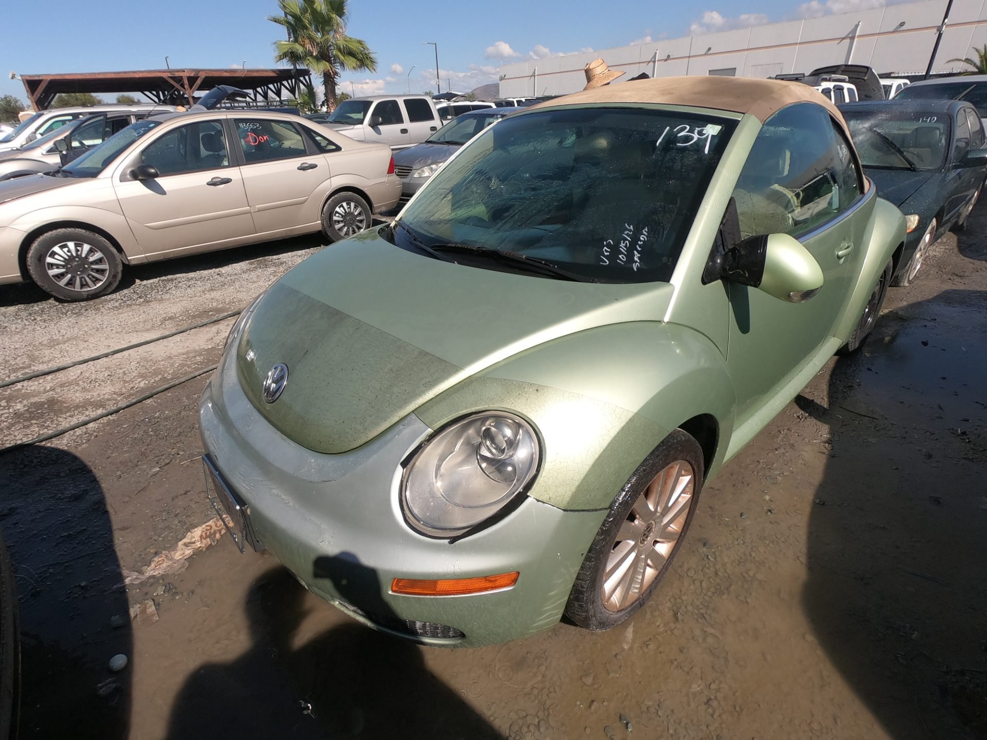 2008 VOLKS BEETLE — photo 1
