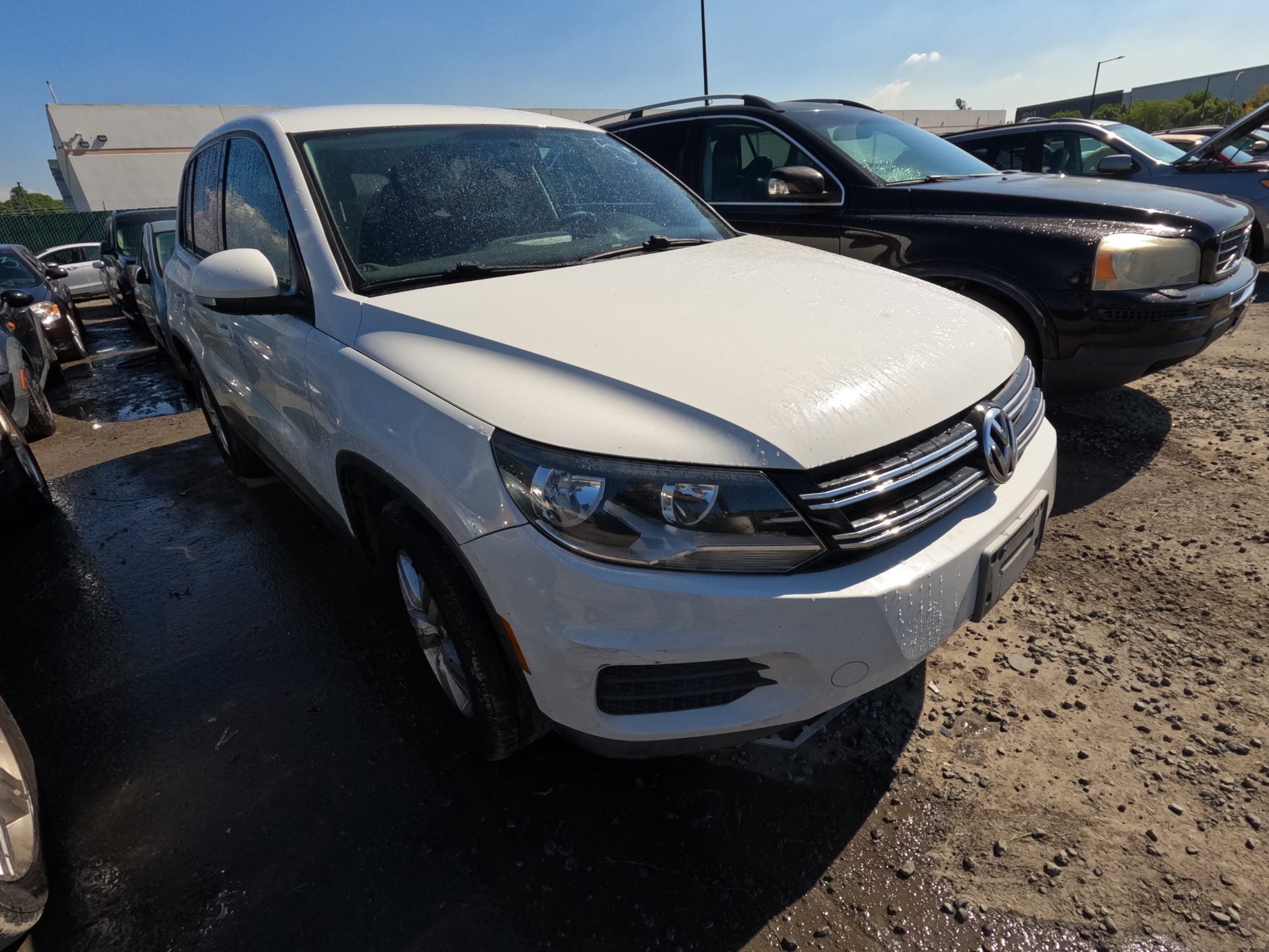 2012 VOLKS TIGUAN — thumbnail 2