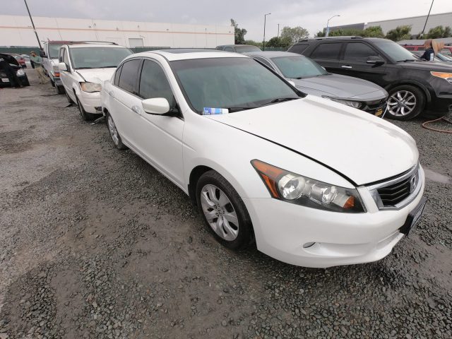 Vehicle: 2010 HONDA ACCORD (Lot 124)